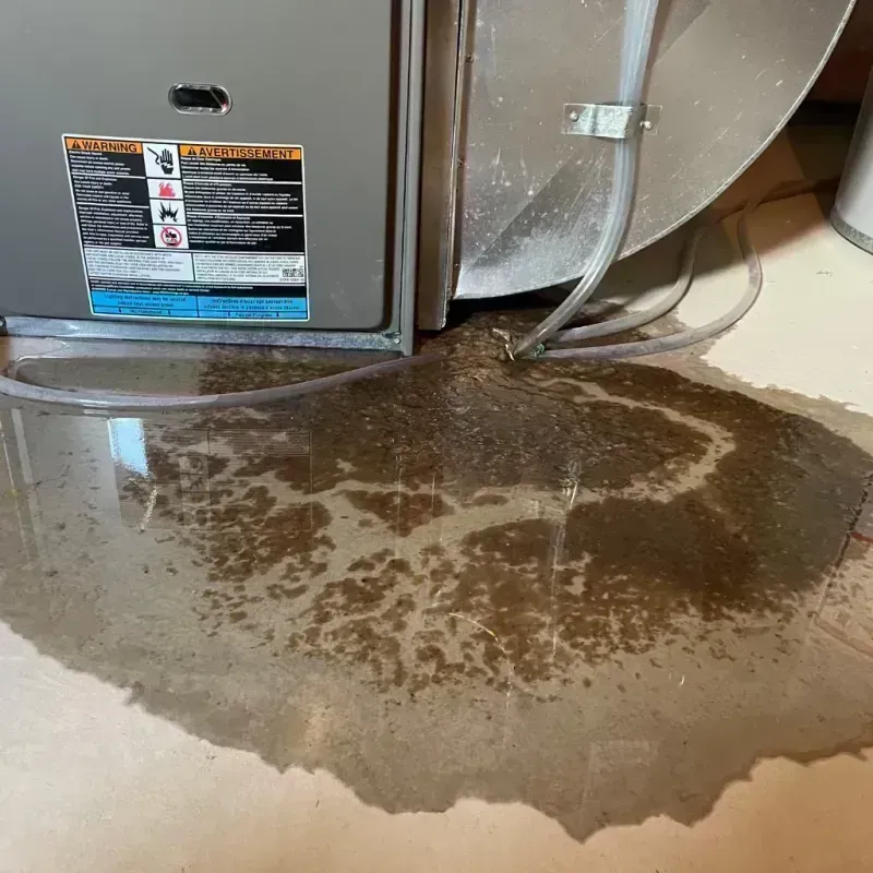 Appliance Leak Cleanup in Festus, MO